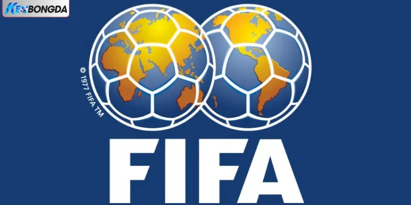 Bảng thứ hạng FIFA được cập nhật liên tục
