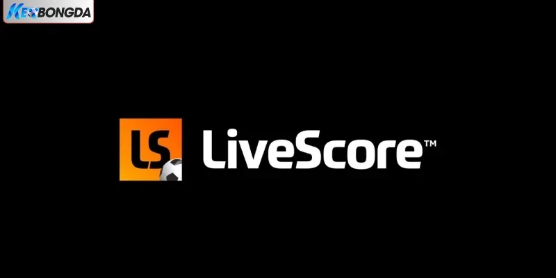 Tính năng Livescore nổi bật Tính năng Livescore nổi bật